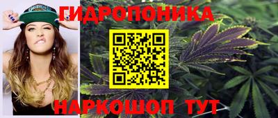 твердый Заводоуковск