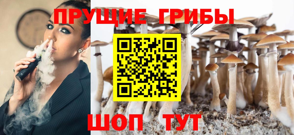 Псилоцибиновые грибы Cubensis Коркино